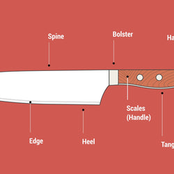Anatomy Of A Knife
