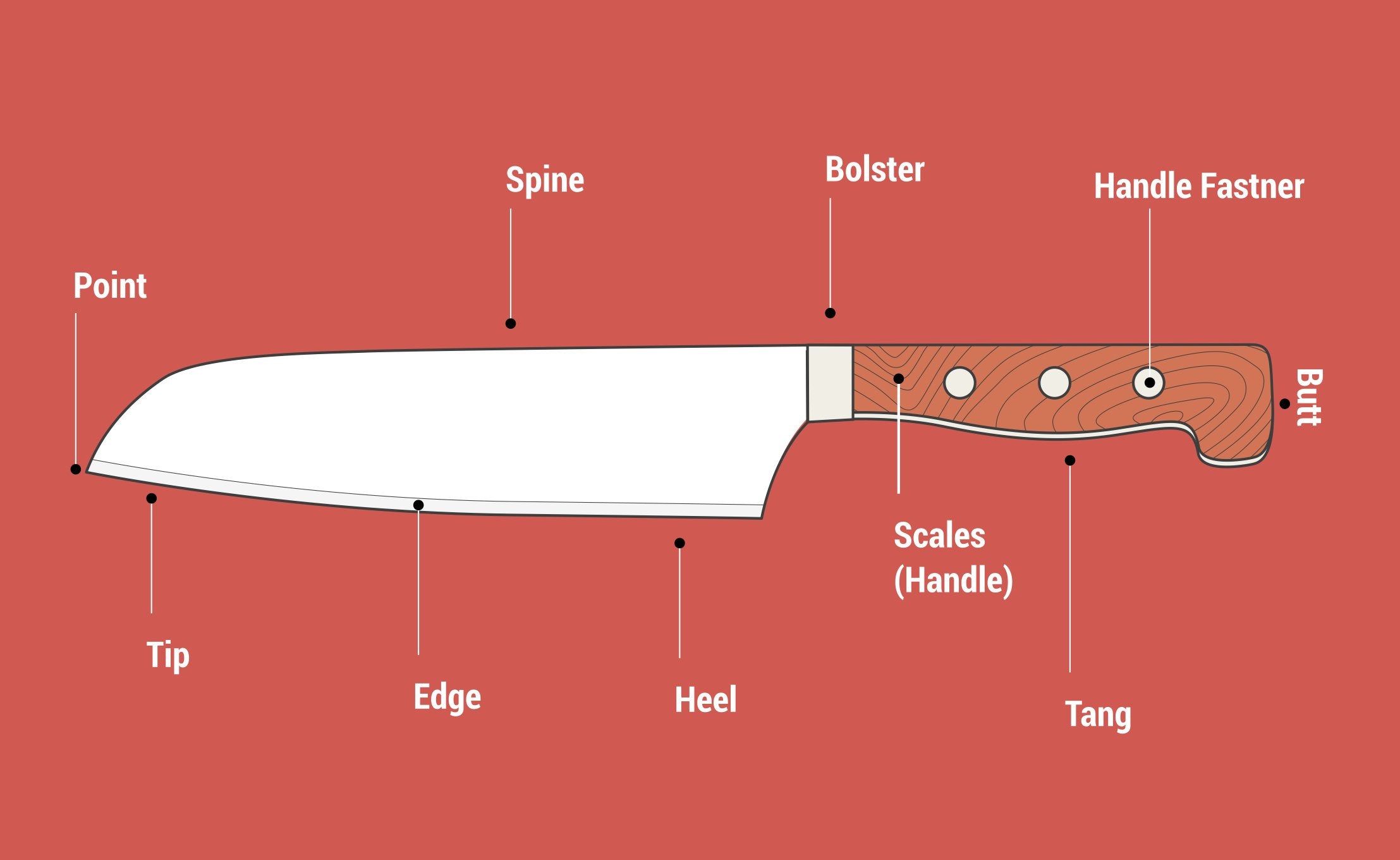 Anatomy Of A Knife